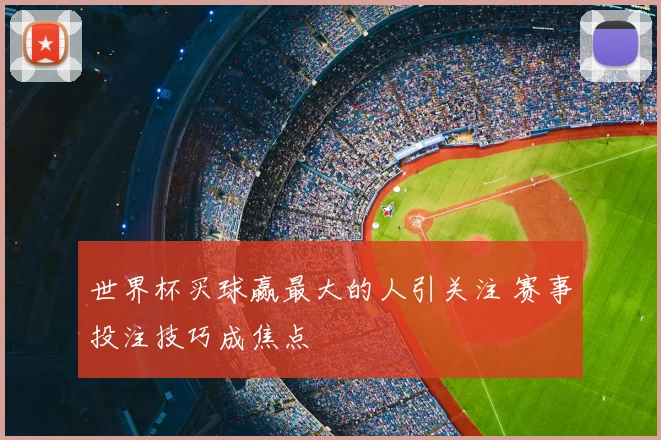 世界杯买球赢最大的人引关注 赛事投注技巧成焦点