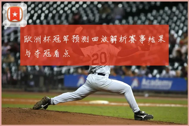 欧洲杯冠军预测回放解析赛事结果与夺冠看点
