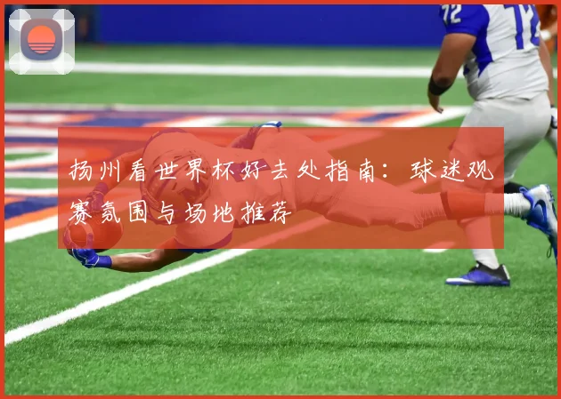 扬州看世界杯好去处指南:球迷观赛氛围与场地推荐